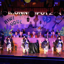 Narrenringsitzung FG 2026_226