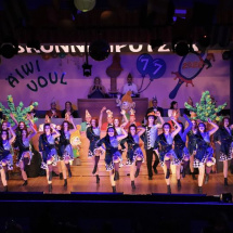 Narrenringsitzung FG 2026_233