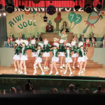 Narrenringsitzung FG 2026_331