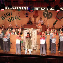 Narrenringsitzung FG 2026_357