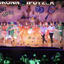 Narrenringsitzung FG 2026_384