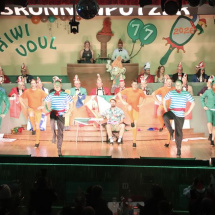 Narrenringsitzung FG 2026_391