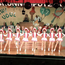 Narrenringsitzung FG 2026_478