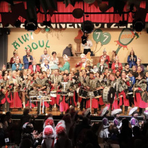 Narrenringsitzung FG 2026_486